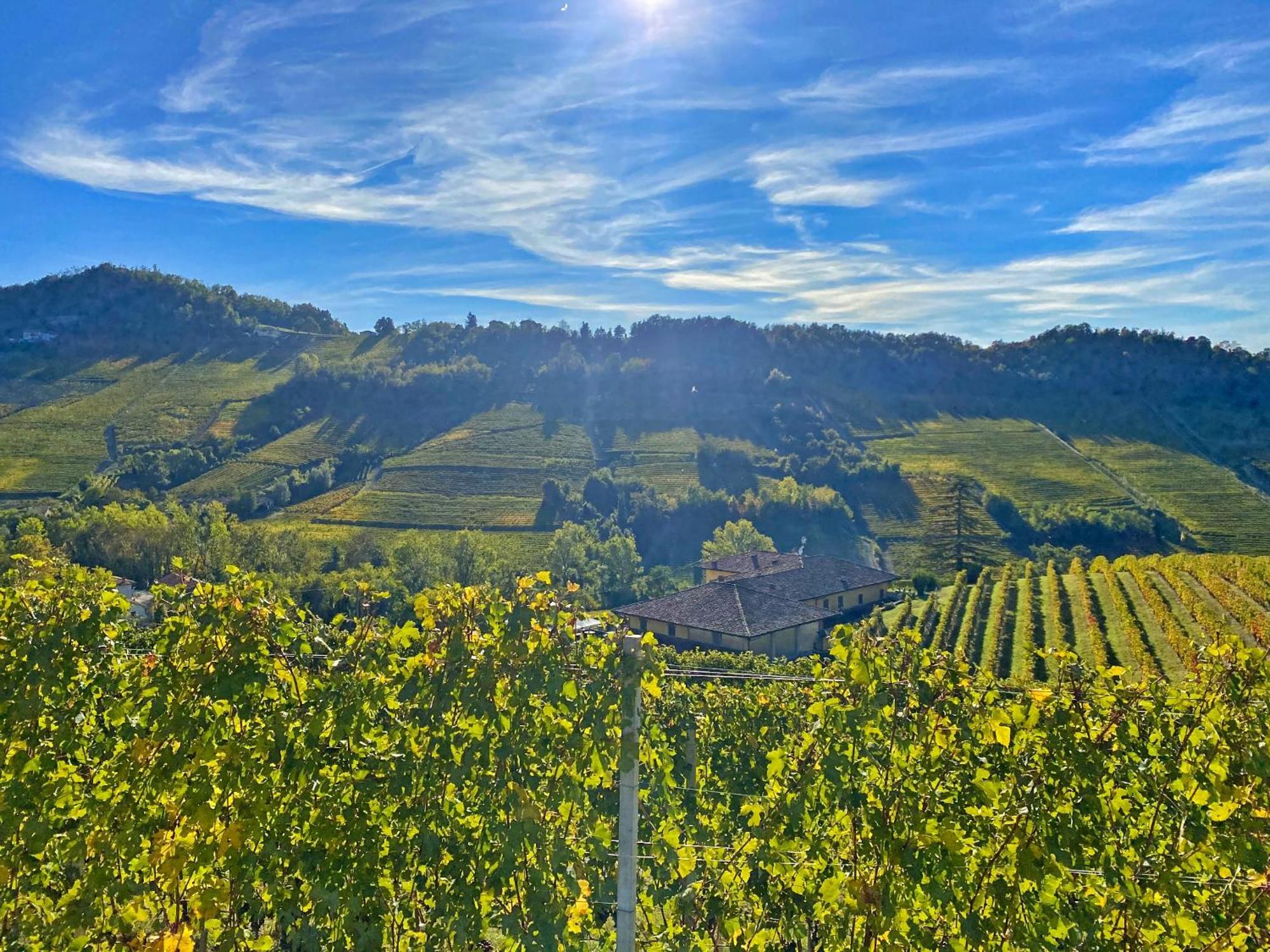 Just Langhe Casa Nebbiolo Villa Novello Exterior photo